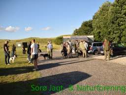 Hundetraeninig_efterar_2016
